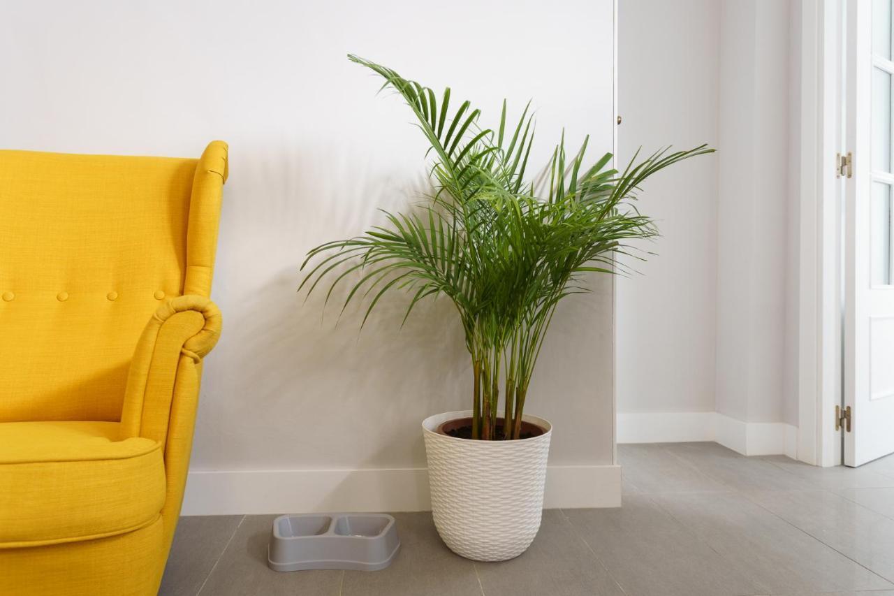 Apartamentos Circulo De Artistas Ronda Ngoại thất bức ảnh